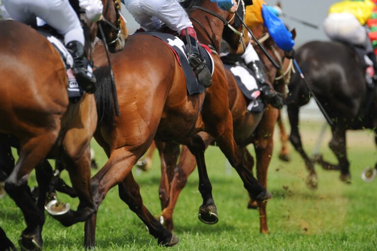 Low angle horse racing shit, Where to stay for the Melbourne Cup 2025